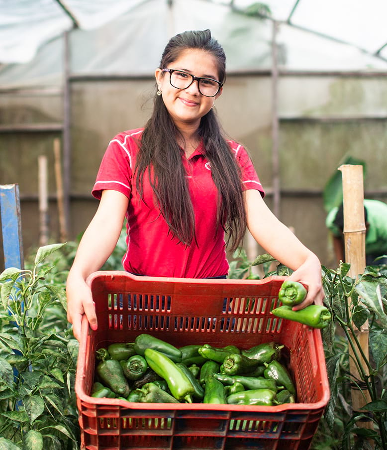 Farmer with Vegetables