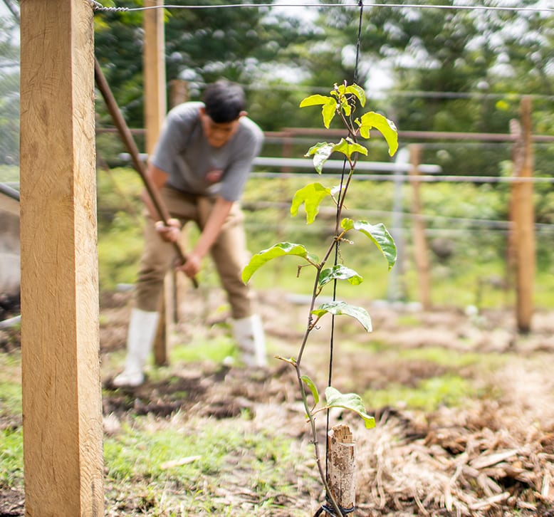 Fabretto Initiatives