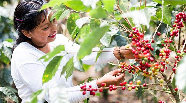 Harvesting