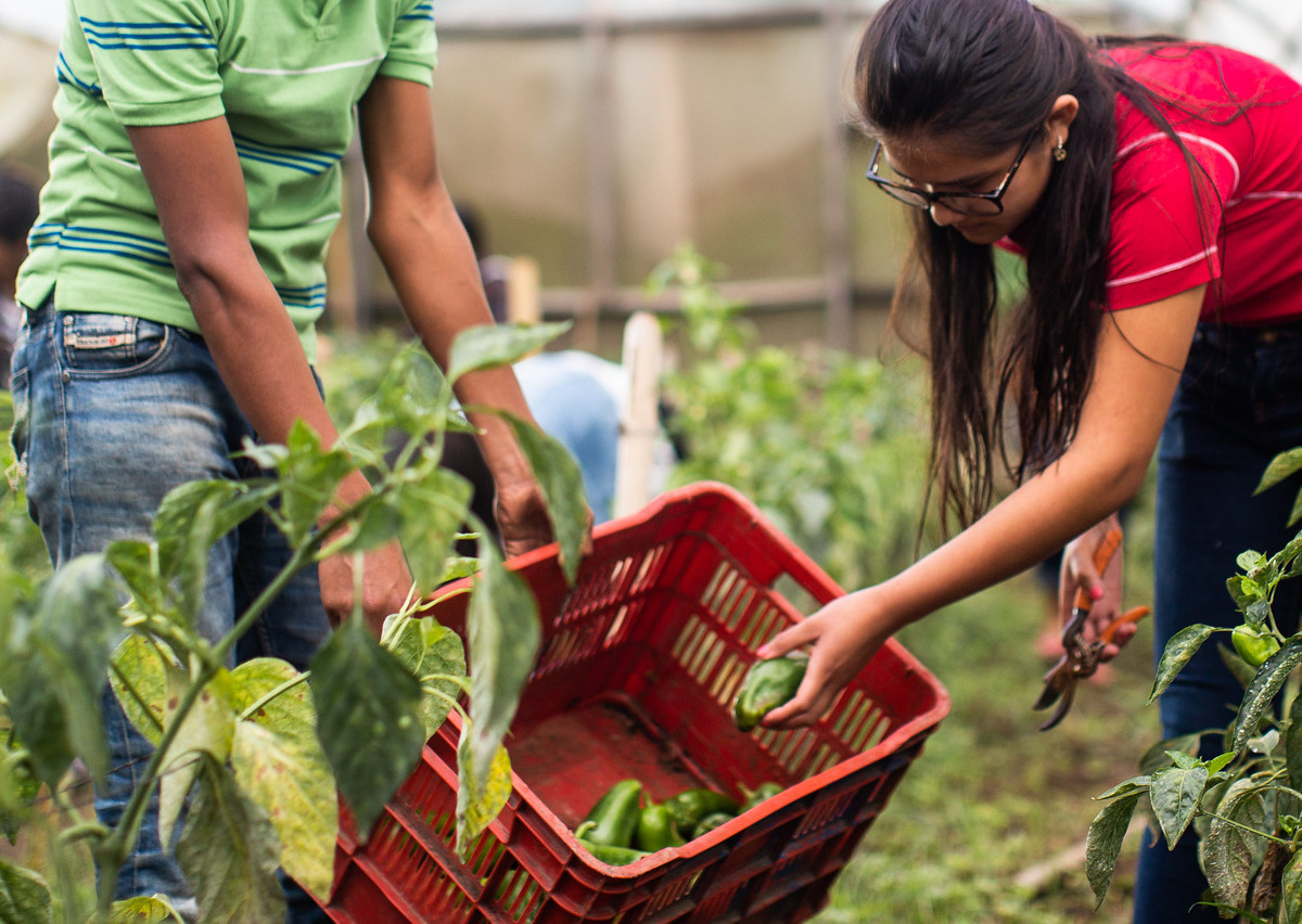 Fabretto school meals: ending poverty through nutrition