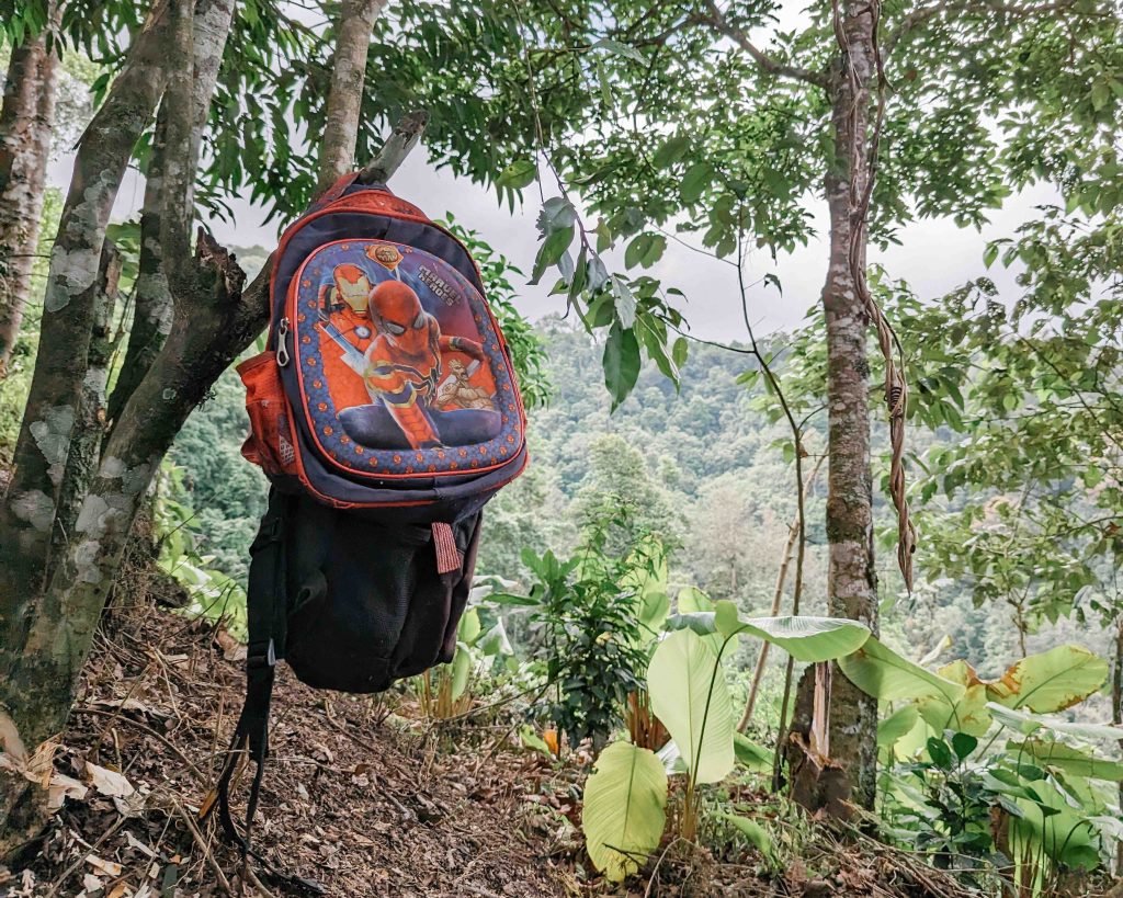 Backpack in the field Backpack in the field
