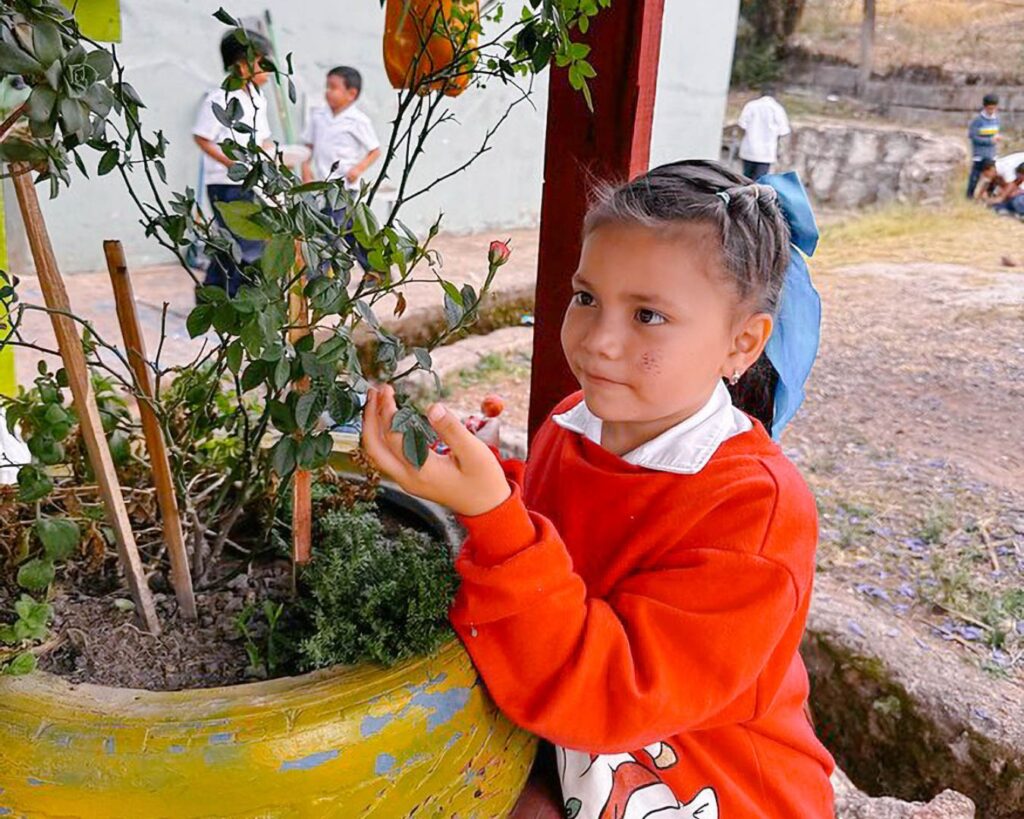 School gardens as learning labs