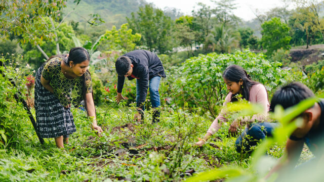 CaTec students from Xch'ool Ixim in the field